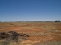 1230-1442 WA Horses highway (307468)